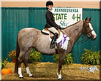4H-Sate-102613-0939.jpg