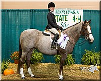 4H-Sate-102613-0941.jpg
