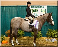 4H-Sate-102613-0942.jpg