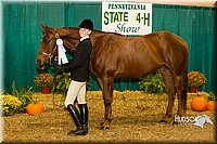 4H-Sate-102713-1108.jpg