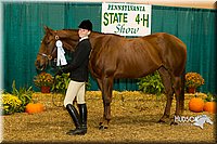 4H-Sate-102713-1109.jpg