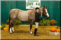 4H-Sate-102713-1111.jpg