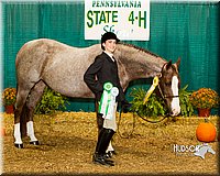 4H-Sate-102713-1112.jpg
