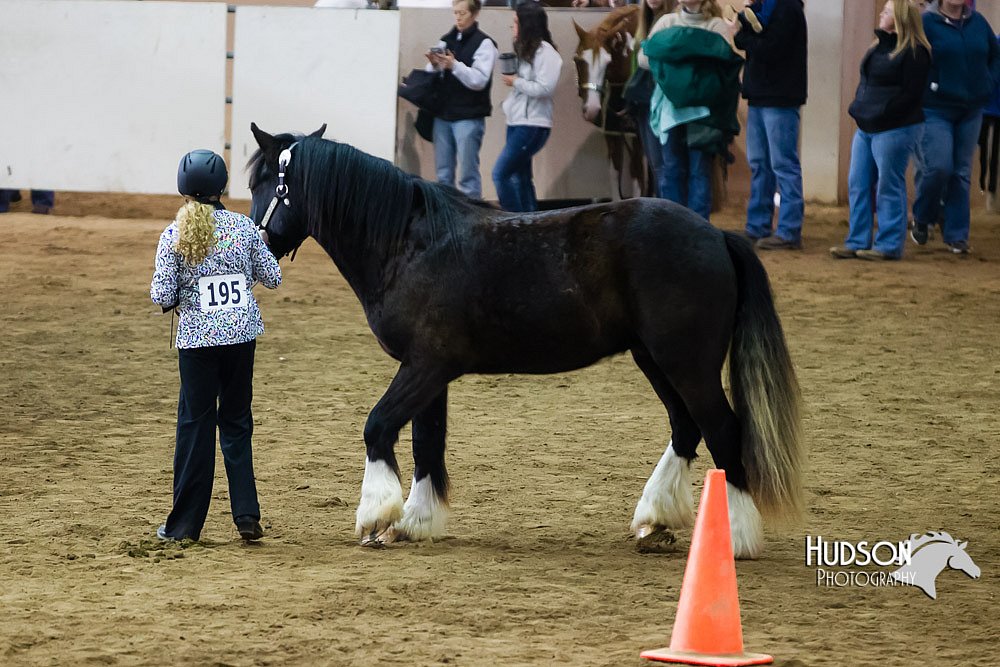 4H-Sate-102513-0121.jpg