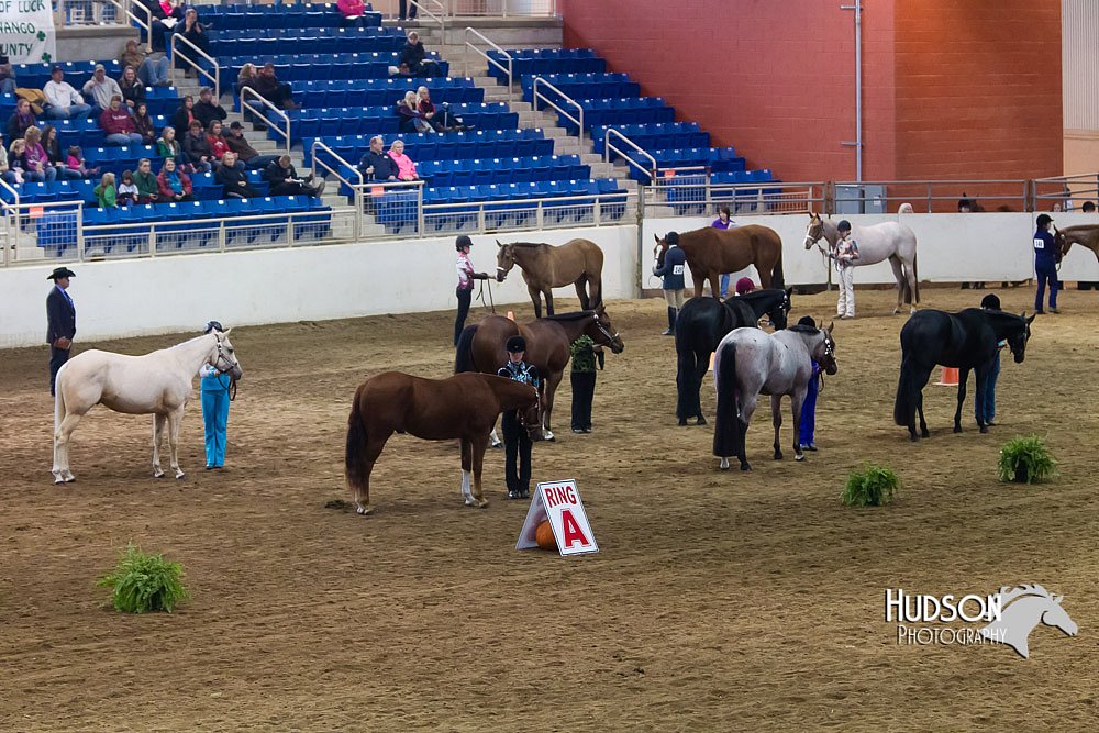 4H-Sate-102513-0152.jpg