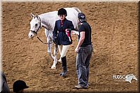4H-Sate-102513-0066.jpg