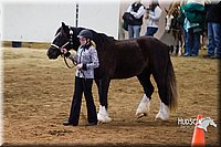 4H-Sate-102513-0123.jpg