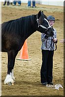 4H-Sate-102513-0129.jpg