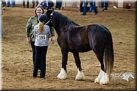 4H-Sate-102513-0130.jpg