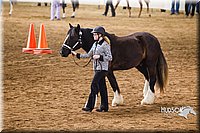 4H-Sate-102513-0131.jpg