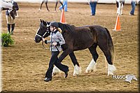 4H-Sate-102513-0132.jpg