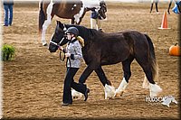 4H-Sate-102513-0133.jpg