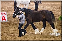 4H-Sate-102513-0134.jpg