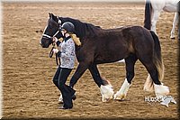 4H-Sate-102513-0135.jpg