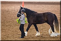 4H-Sate-102513-0136.jpg