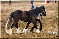 4H-Sate-102513-0137.jpg