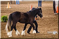 4H-Sate-102513-0138.jpg