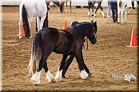 4H-Sate-102513-0140.jpg