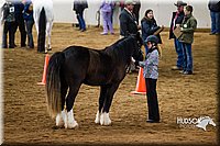 4H-Sate-102513-0141.jpg