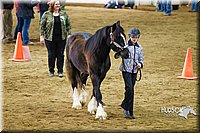 4H-Sate-102513-0143.jpg