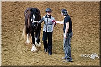 4H-Sate-102513-0144.jpg