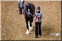 4H-Sate-102513-0146.jpg