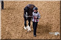 4H-Sate-102513-0147.jpg