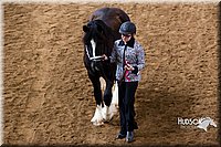 4H-Sate-102513-0148.jpg