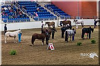 4H-Sate-102513-0152.jpg