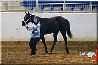 4H-Sate-102513-0156.jpg