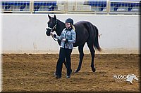 4H-Sate-102513-0157.jpg