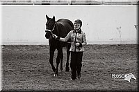 4H-Sate-102513-0158.jpg