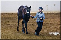 4H-Sate-102513-0159.jpg