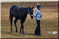 4H-Sate-102513-0162.jpg