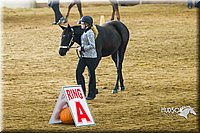 4H-Sate-102513-0163.jpg