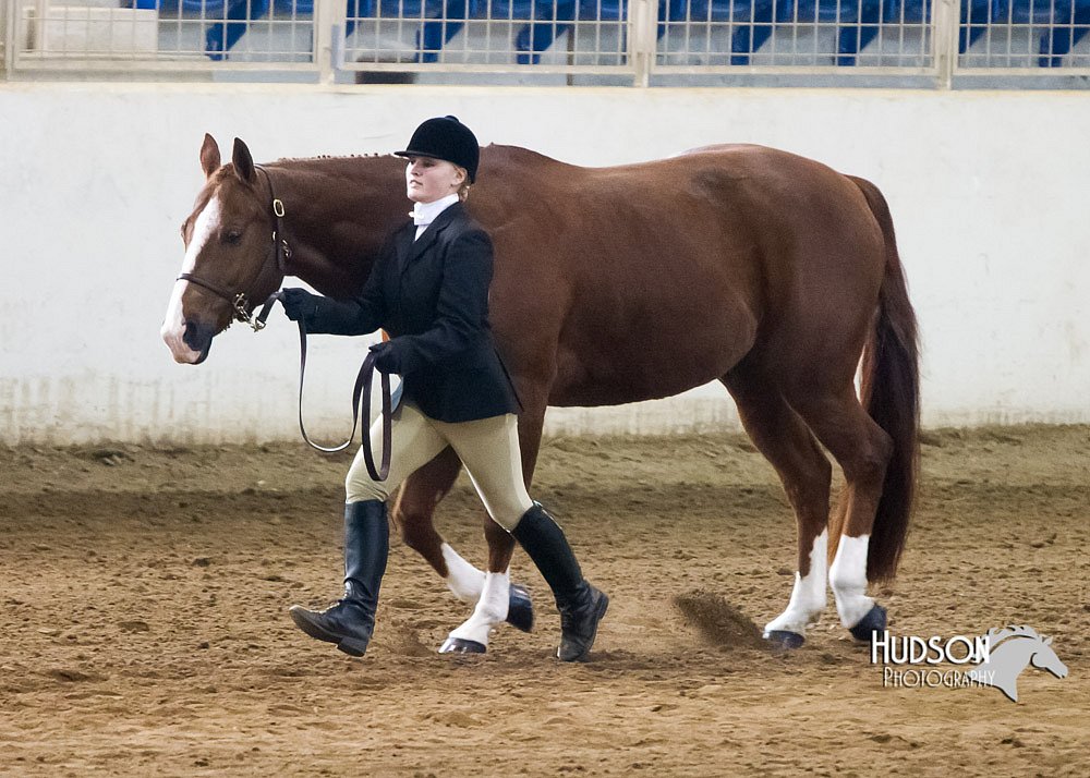 4H-Sate-102713-1018.jpg