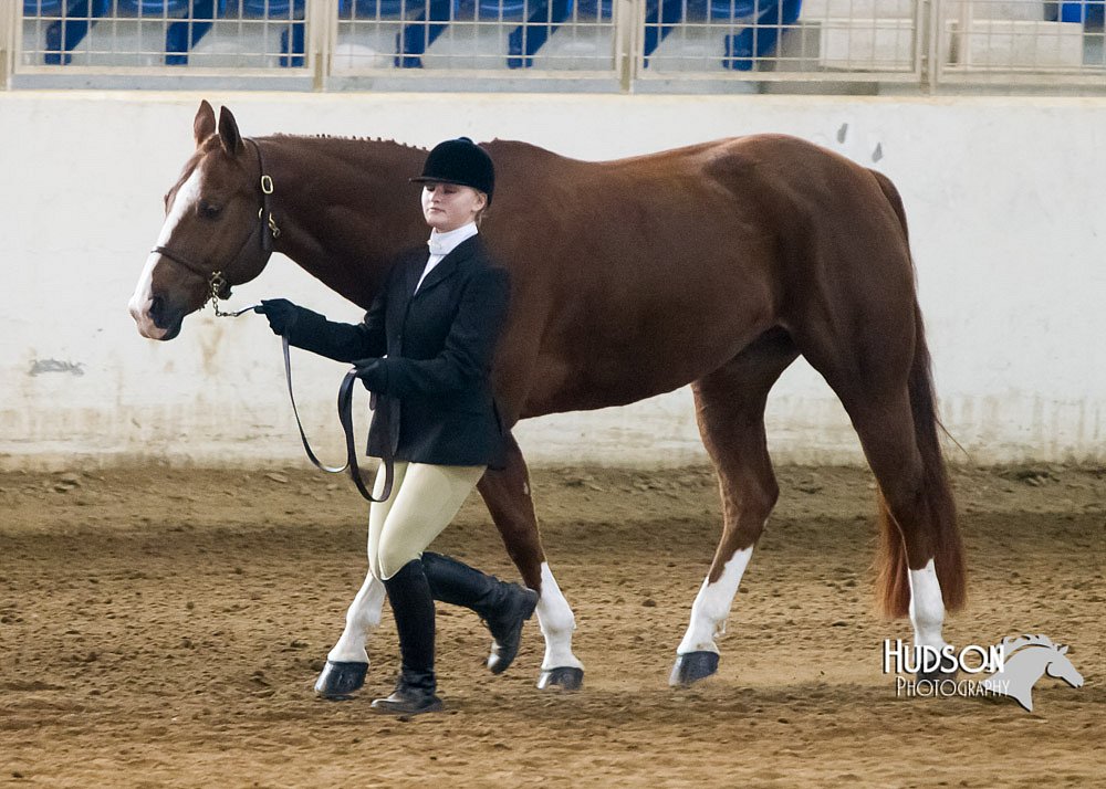 4H-Sate-102713-1019.jpg
