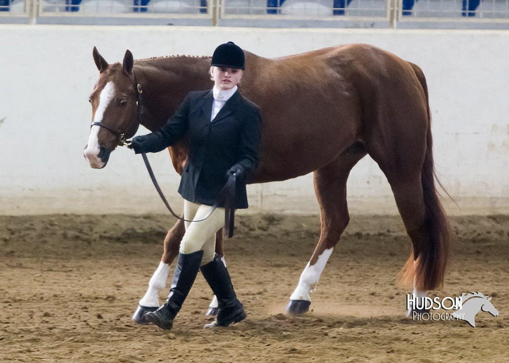 4H-Sate-102713-1020.jpg