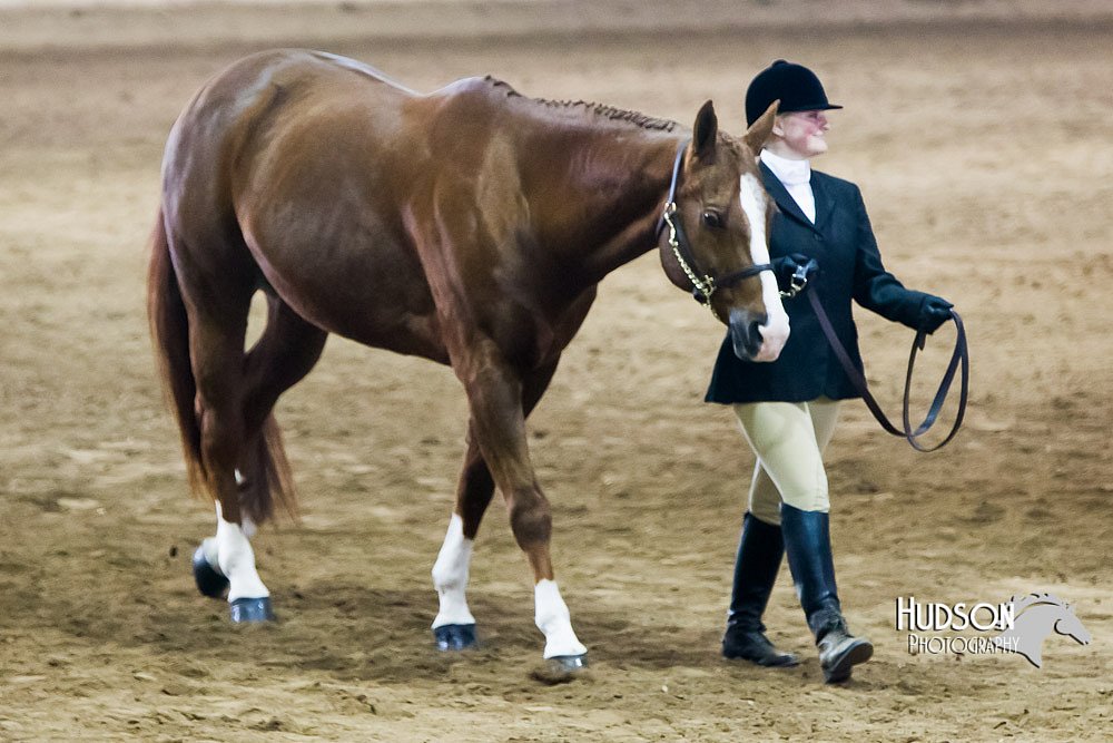4H-Sate-102713-1031.jpg