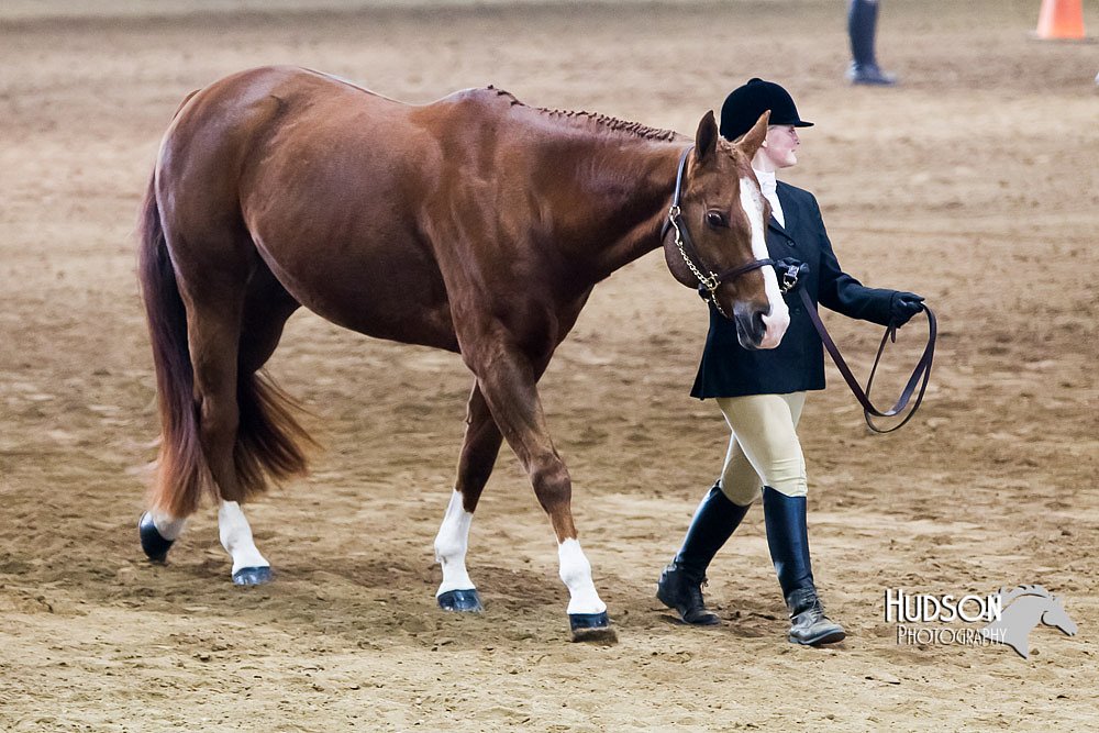 4H-Sate-102713-1032.jpg