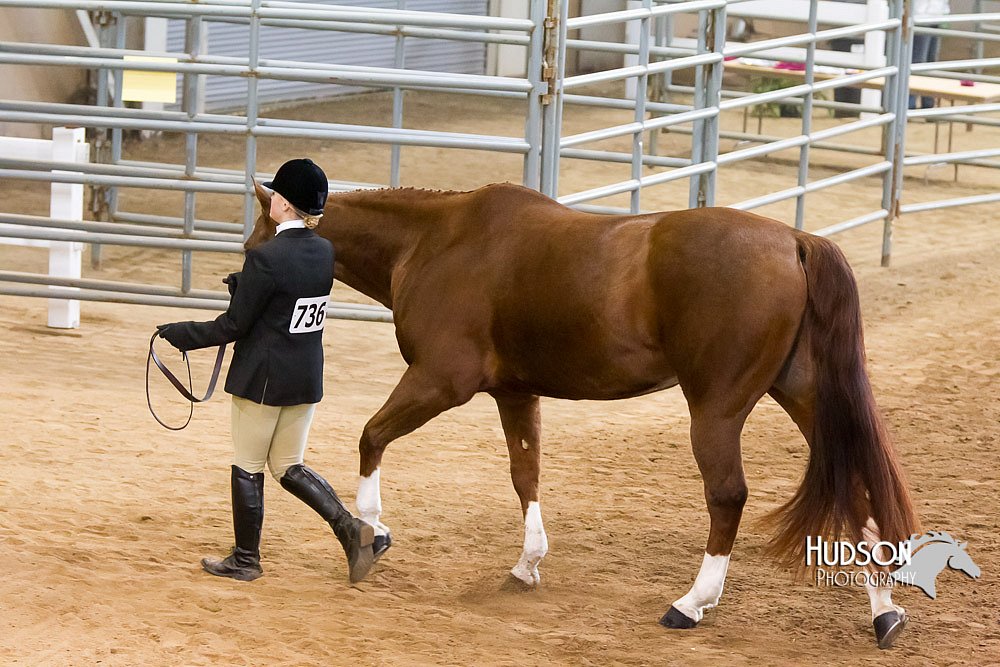 4H-Sate-102713-1037.jpg