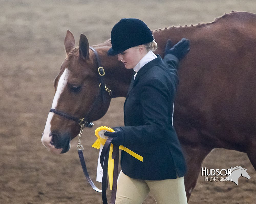 4H-Sate-102713-1048.jpg
