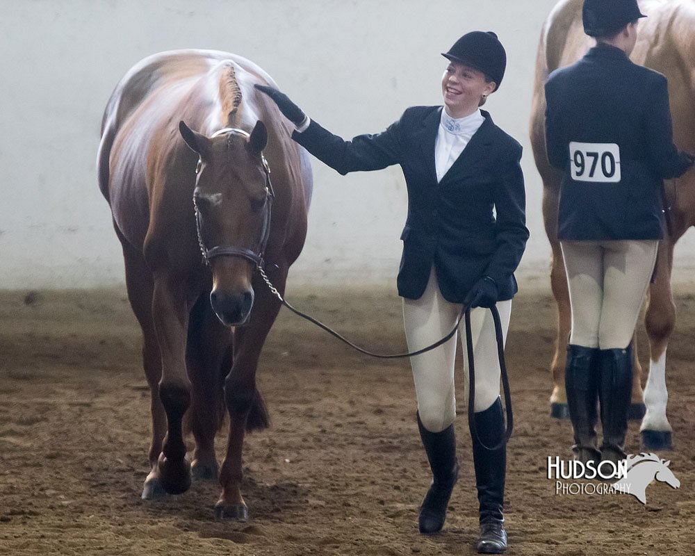 4H-Sate-102713-1058.jpg