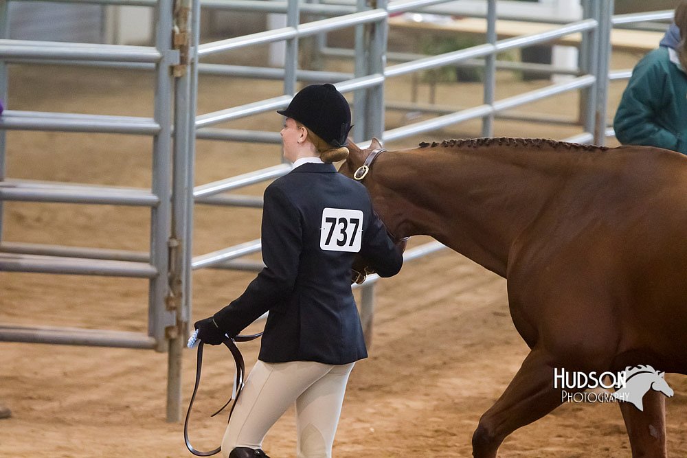 4H-Sate-102713-1073.jpg