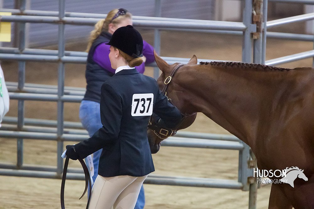 4H-Sate-102713-1074.jpg