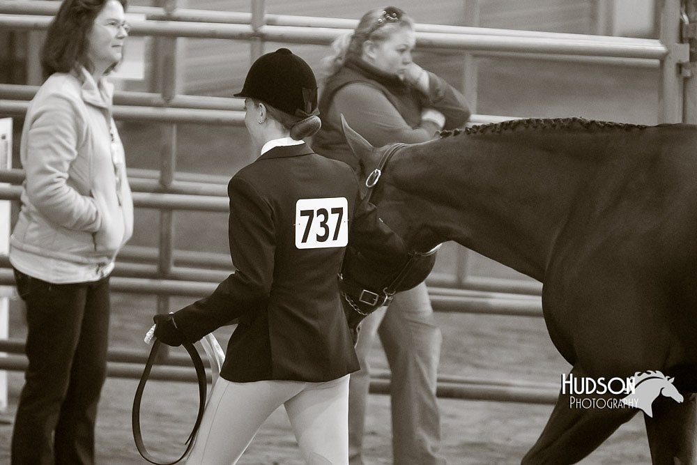 4H-Sate-102713-1075.jpg