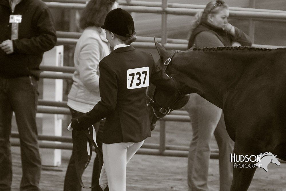 4H-Sate-102713-1076.jpg