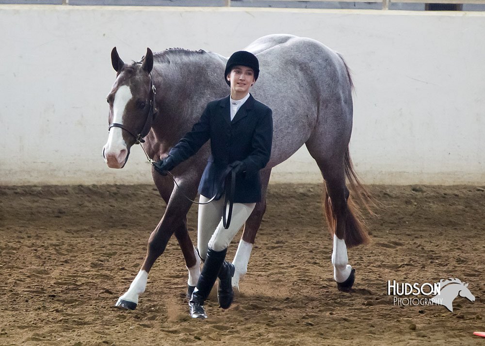 4H-Sate-102713-1080.jpg