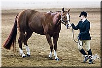 4H-Sate-102713-1030.jpg
