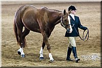 4H-Sate-102713-1031.jpg